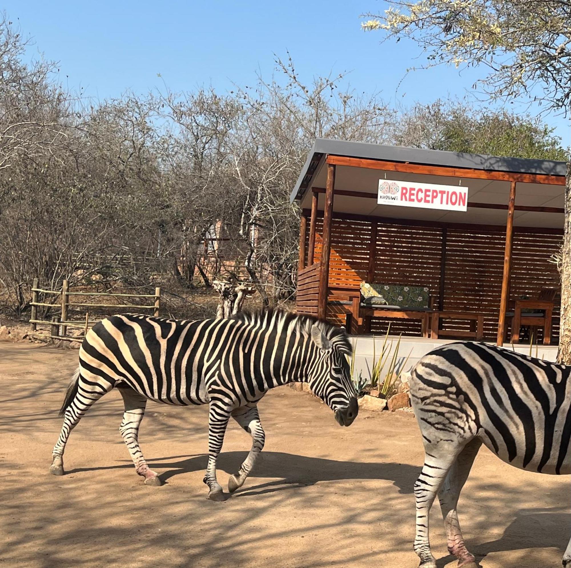 Kholiwe On Kruger Lodge & Safaris マールロス・パーク エクステリア 写真