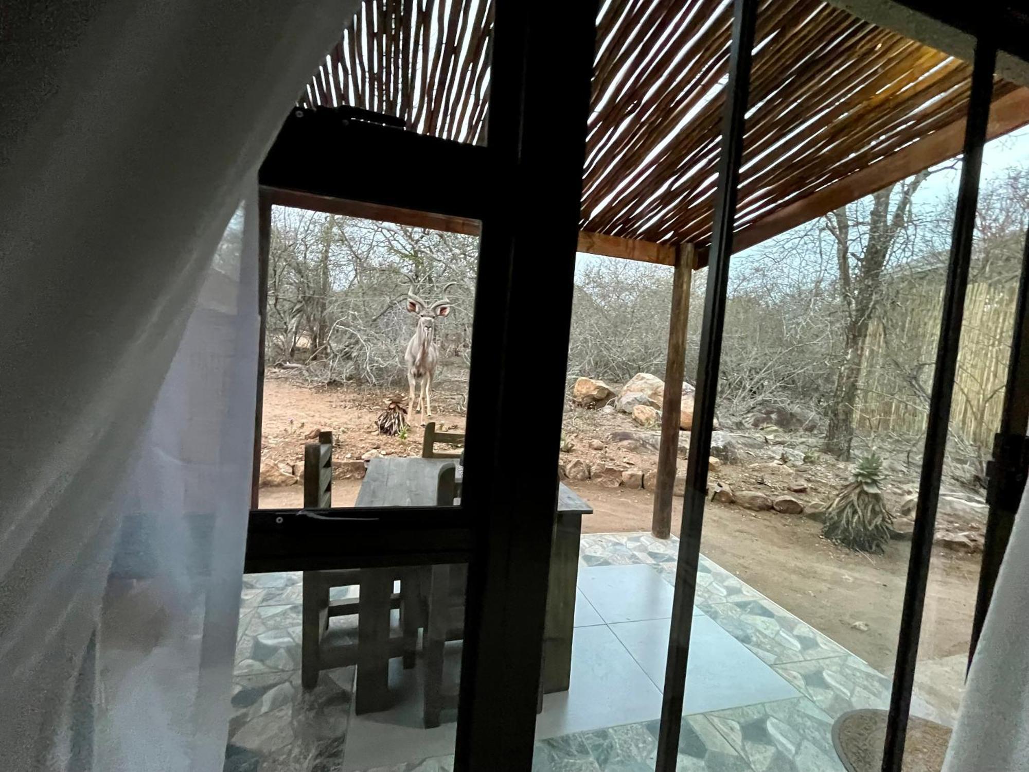 Kholiwe On Kruger Lodge & Safaris マールロス・パーク エクステリア 写真