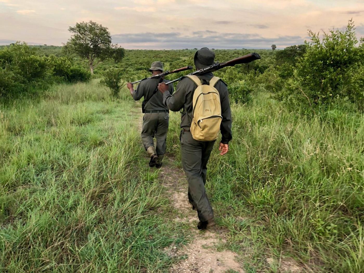 Kholiwe On Kruger Lodge & Safaris マールロス・パーク エクステリア 写真